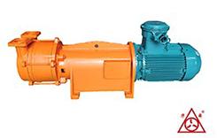 F2BV系(xi)列耐(nai)腐(fu)蝕(shi)真空(kong)泵(beng)