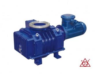 JZJFS系(xi)列(lie)羅(luo)茨(ci)-耐(nai)腐蝕(shi)液環(huan)真(zhen)空(kong)機(ji)組