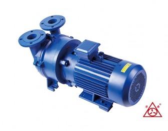 F2BV系(xi)列(lie)耐(nai)腐蝕(shi)真(zhen)空(kong)泵