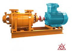 FSK系(xi)列(lie)耐腐(fu)蝕真空(kong)泵(beng)